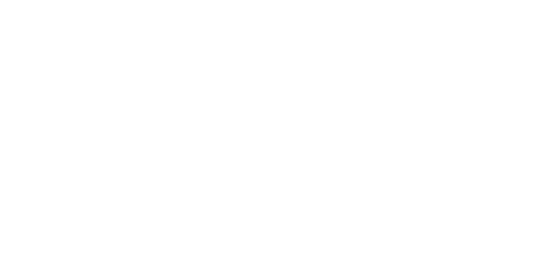 넷엔터테인먼트 logo